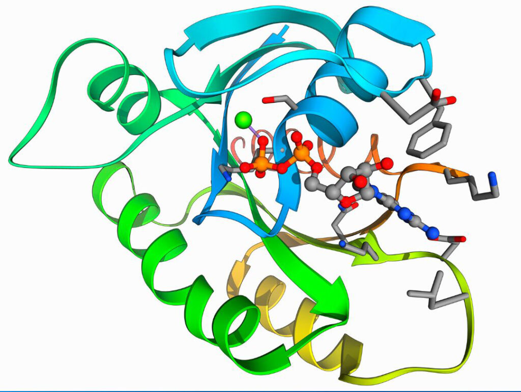 light-based-microcapillary-monitoring-expands-precision-in-biotechnology